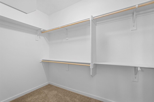 85 Cadena Blvd, Los Alamos, NM 87547 - walk in closet featuring carpet flooring