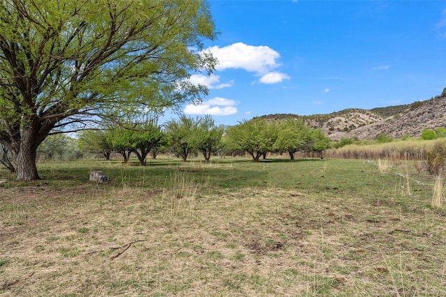 781 County Road 57, Lyden, NM 87582
