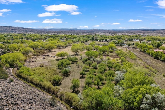 781 County Road 57, Lyden, NM 87582