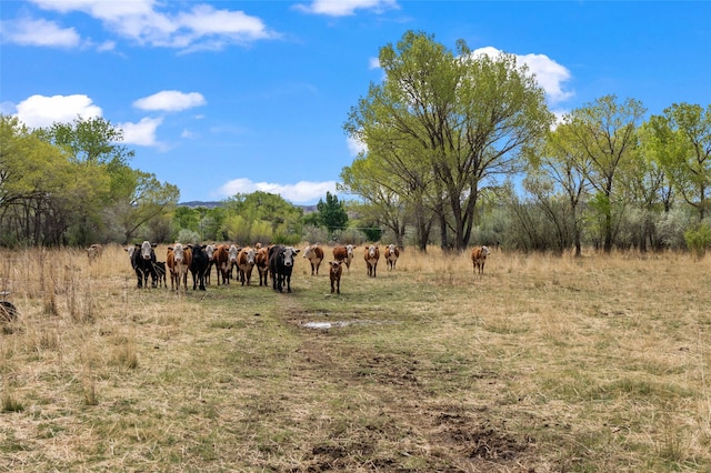 781 County Road 57, Lyden, NM 87582