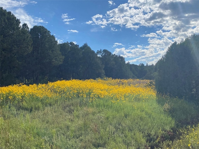 166 Glory, Glorieta, NM 87535