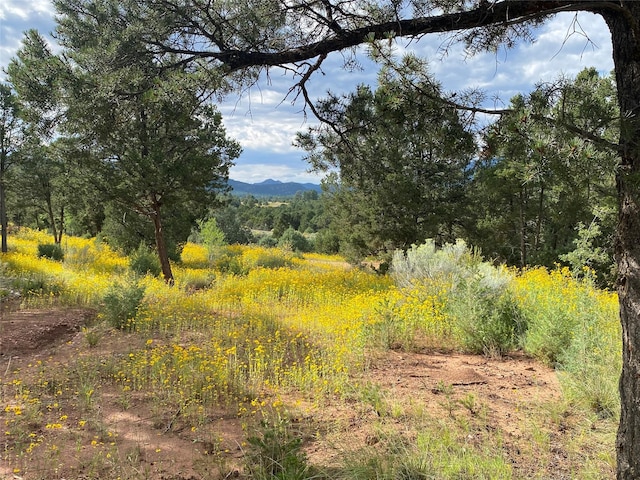 166 Glory, Glorieta, NM 87535