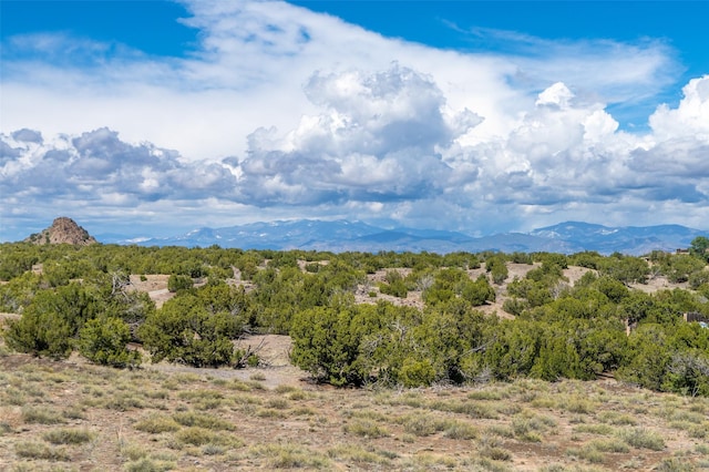 100 Rancho Alegre, Santa Fe, NM 87508 - view of mountain background