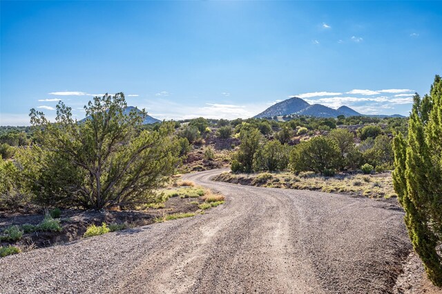 100 Rancho Alegre, Santa Fe, NM 87508 - view of dirt / gravel road featuring a mountain view
