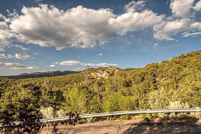 view of mountain background featuring a forest