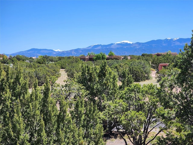 view of mountain backdrop featuring a forest