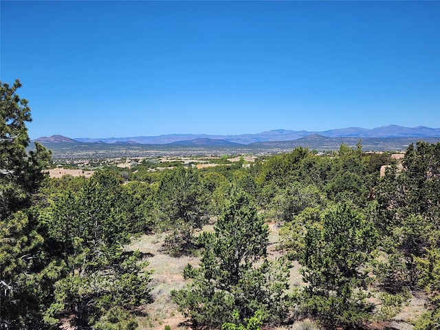 36 Green Meadow Loop, Santa Fe, NM 87506 - view of mountain background