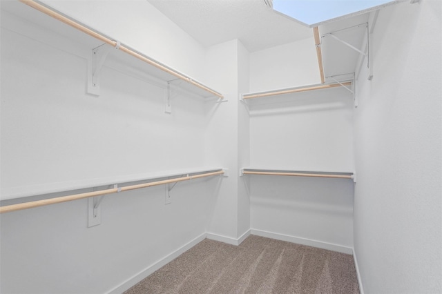 137 Mirador Blvd, Los Alamos, NM 87547 - walk in closet with carpet floors