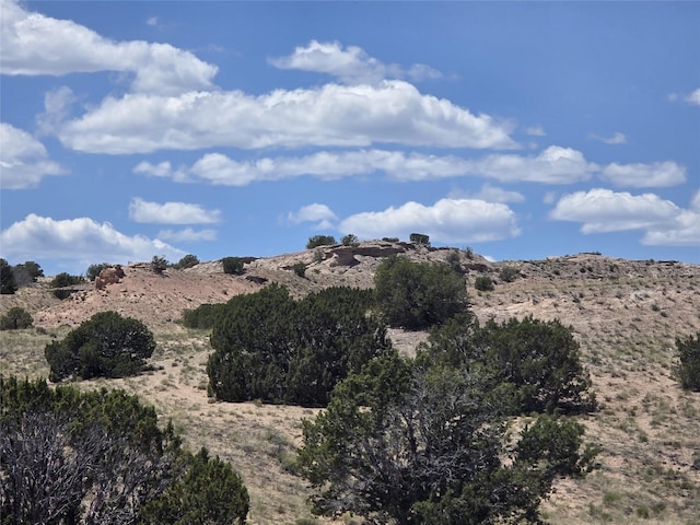 13 Los Amigos, Espanola, NM 87532 - view of mountain background