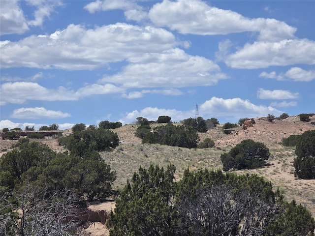 13 Los Amigos, Espanola, NM 87532 - view of undeveloped land