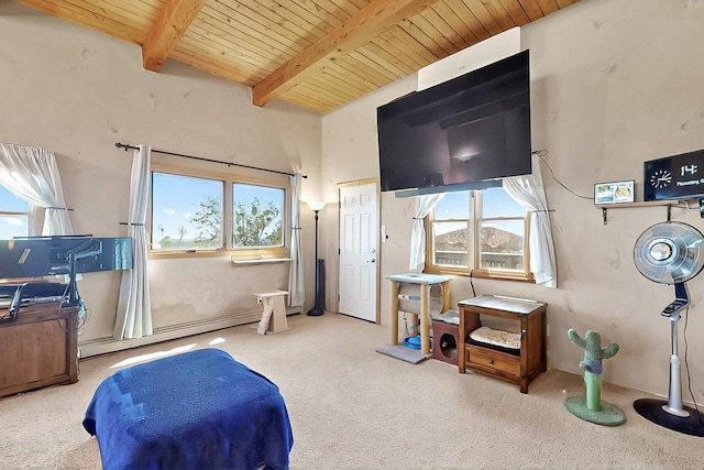 26 Apache Creek Rd, Santa Fe, NM 87505 - bedroom with wood ceiling, baseboard heating, multiple windows, beam ceiling, and carpet