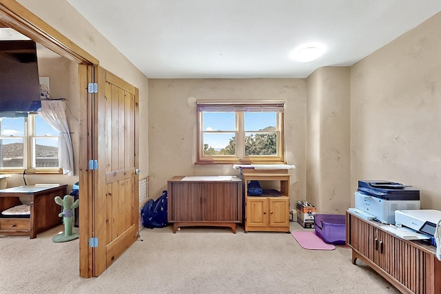 26 Apache Creek Rd, Santa Fe, NM 87505 - office with light carpet
