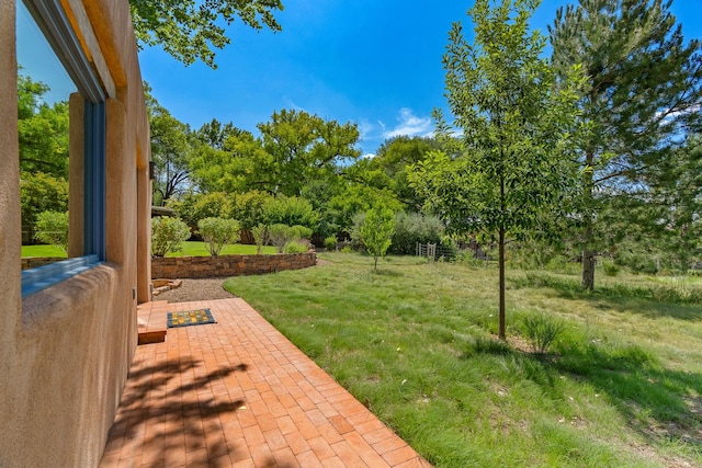 127 County Road 84, Santa Fe, NM 87506 - view of green lawn