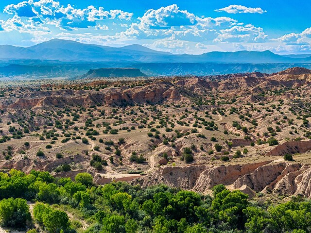 127 County Road 84, Santa Fe, NM 87506 - view of mountain background