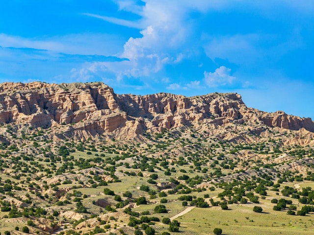 127 County Road 84, Santa Fe, NM 87506 - view of mountain background