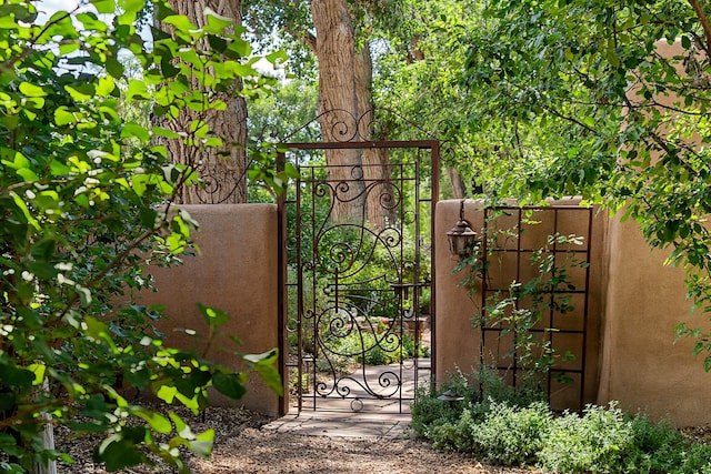127 County Road 84, Santa Fe, NM 87506 - view of gate