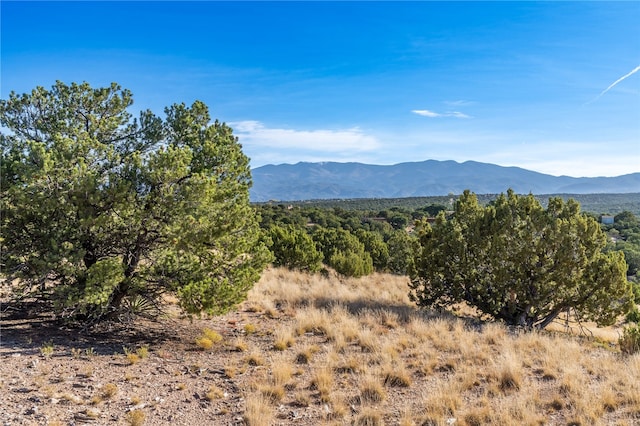 25 Majigo Dr, Santa Fe, NM 87506