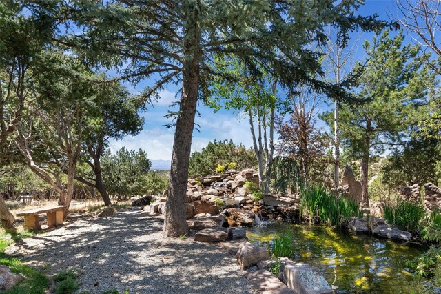 17 Tano W, Santa Fe, NM 87506 - view of community