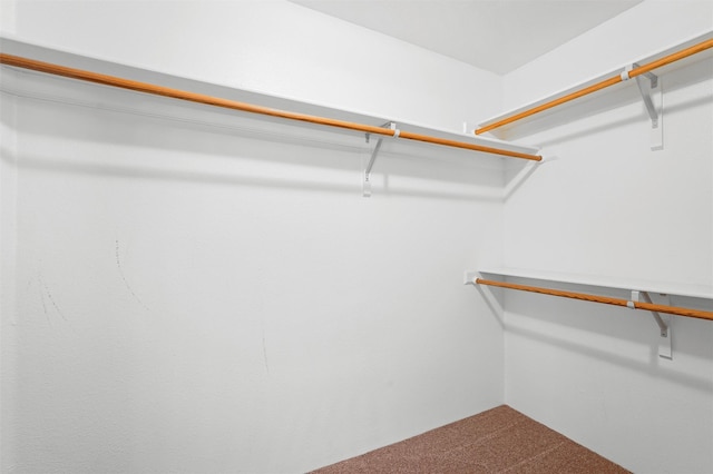 1905 Mendius, Los Alamos, NM 87544 - walk in closet featuring carpet