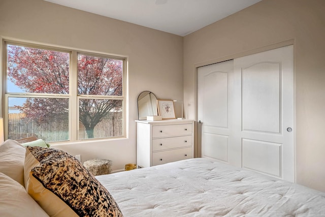4548 Contenta Rdg, Santa Fe, NM 87507 - bedroom featuring multiple windows and a closet