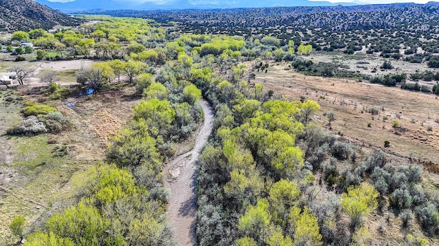 34529 County Road 55, Ojo Caliente, NM 87530