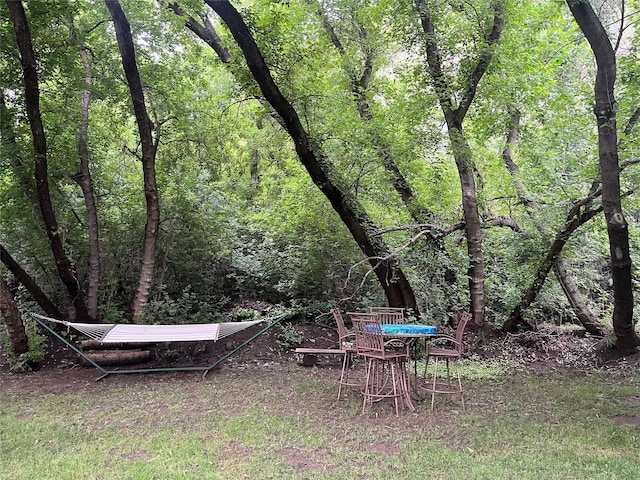 6 Rainbow Trout Ln, Pecos, NM 87552 - view of yard featuring a wooded view