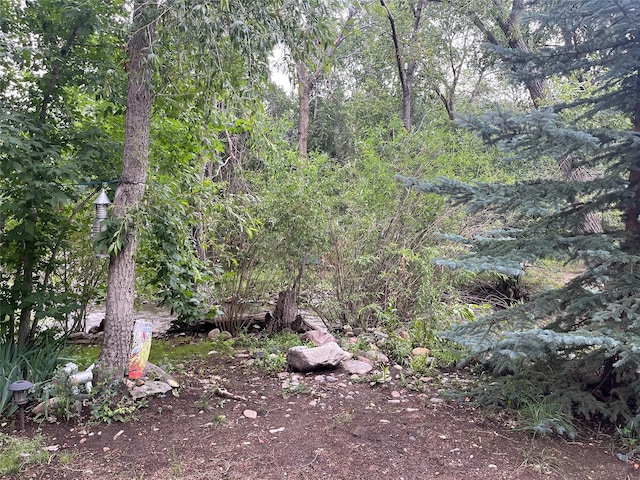 6 Rainbow Trout Ln, Pecos, NM 87552 - view of nature