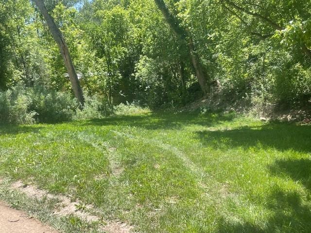 6 Rainbow Trout Ln, Pecos, NM 87552 - view of wooded area