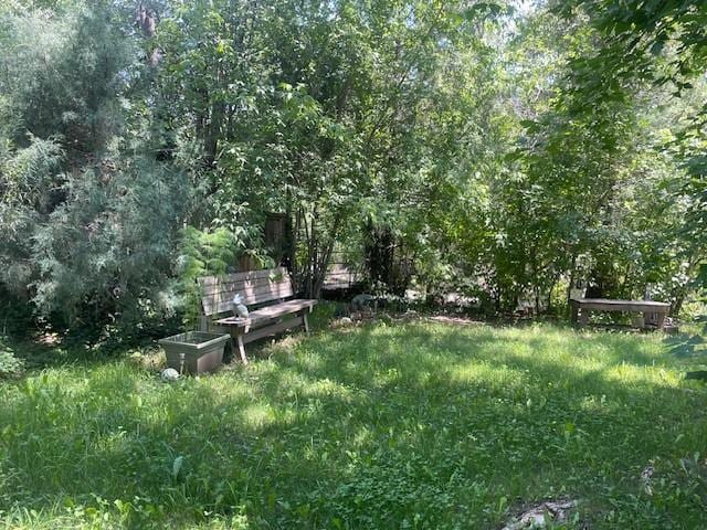 6 Rainbow Trout Ln, Pecos, NM 87552 - view of yard