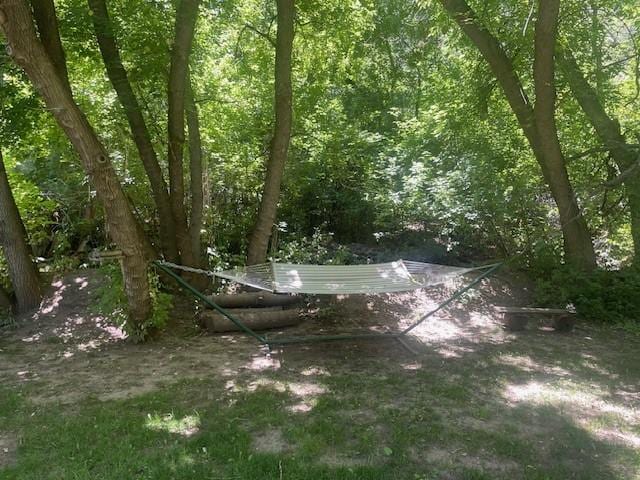 6 Rainbow Trout Ln, Pecos, NM 87552 - view of yard featuring a forest view