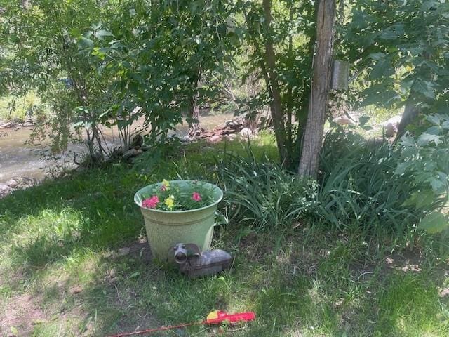 6 Rainbow Trout Ln, Pecos, NM 87552 - view of yard