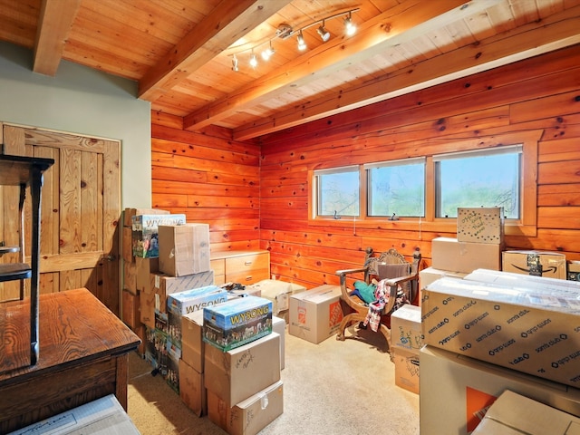 125 Apache Canyon Trl, Santa Fe, NM 87505 - view of storage