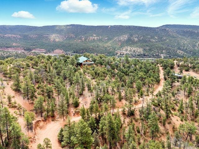 125 Apache Canyon Trl, Santa Fe, NM 87505 - mountain view