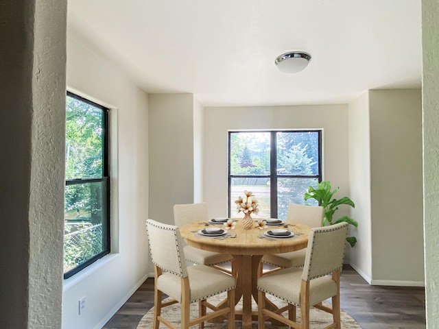421 Maple Ave, Chama, NM 87520 - dining area with plenty of natural light, dark wood-type flooring, and baseboards