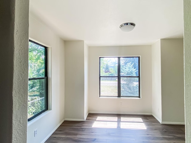 421 Maple Ave, Chama, NM 87520 - spare room with plenty of natural light and wood finished floors