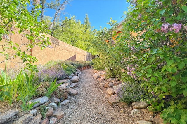 1330 Cerro Gordo Unit F, Santa Fe, NM 87501 - view of yard