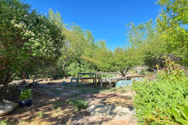 1330 Cerro Gordo Unit F, Santa Fe, NM 87501 - view of yard