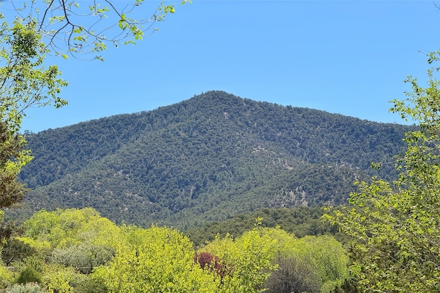 1330 Cerro Gordo Unit F, Santa Fe, NM 87501 - view of mountain background featuring a forest