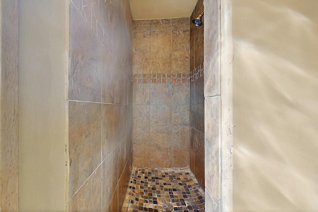 488 Old Denver Hwy, Glorieta, NM 87535 - full bath featuring tiled shower