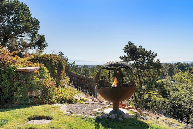 1043 Cheyenne, Los Alamos, NM 87544 - view of yard