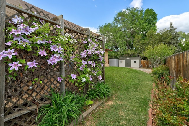 444 Aragon, White Rock, NM 87547 - view of yard