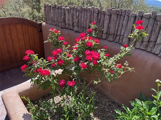 1007 Calle Largo, Santa Fe, NM 87501 - view of yard