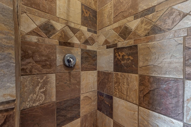 76 Los Altos De Cicuye, Pecos, NM 87552 - bathroom view of tiled shower