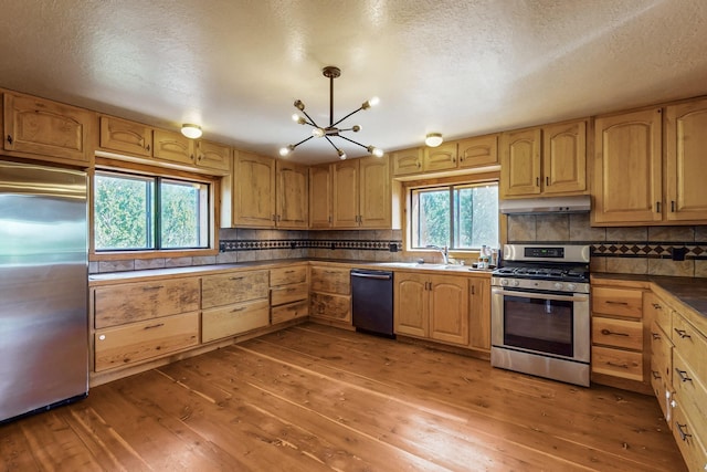 76 Los Altos De Cicuye, Pecos, NM 87552 - kitchen with appliances with stainless steel finishes, under cabinet range hood, a chandelier, a sink, and light wood-style floors