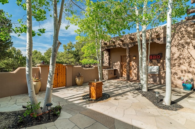 1050 Sierra Del Norte, Santa Fe, NM 87501 - view of patio with a gate and exterior kitchen
