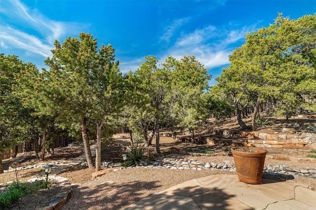1050 Sierra Del Norte, Santa Fe, NM 87501 - view of yard featuring a patio area and view of scattered trees