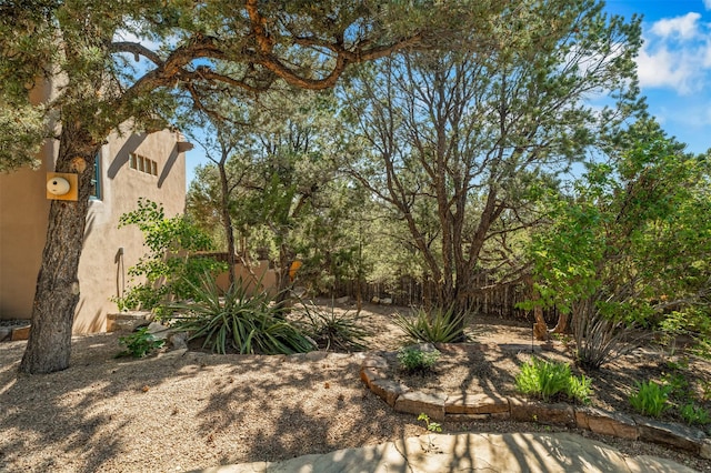 1050 Sierra Del Norte, Santa Fe, NM 87501 - view of yard
