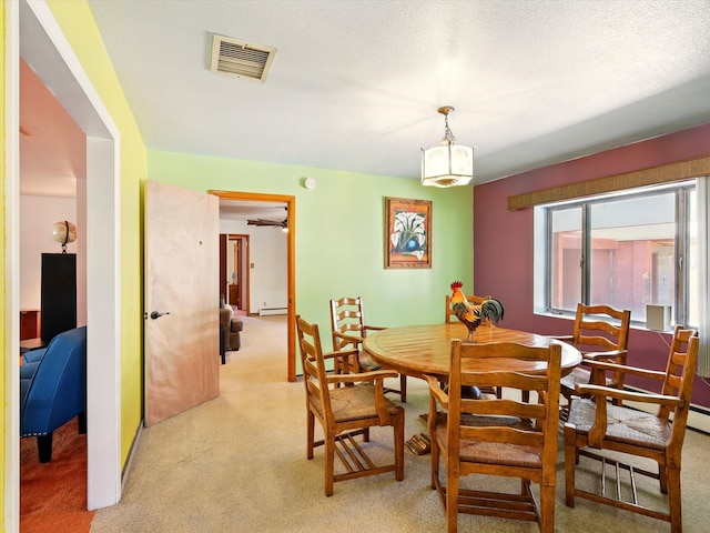 707 Middle San Pedro Rd, Espanola, NM 87532 - dining room featuring light carpet and baseboard heating