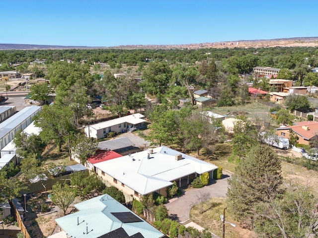 707 Middle San Pedro Rd, Espanola, NM 87532 - drone / aerial view of a forest