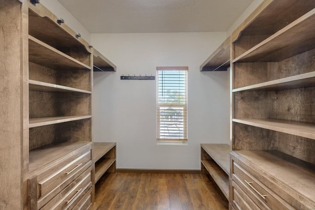 1521 Lakeview Rd SW, Albuquerque, NM 87105 - spacious closet with dark wood-style flooring